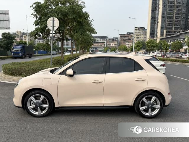 Euler Good cat 2023 Другой из Китая