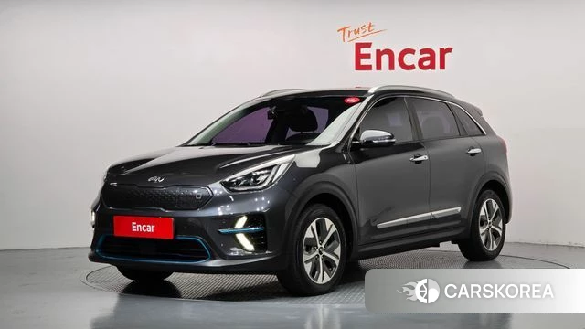 Kia Niro EV 2019 Серый из Кореи
