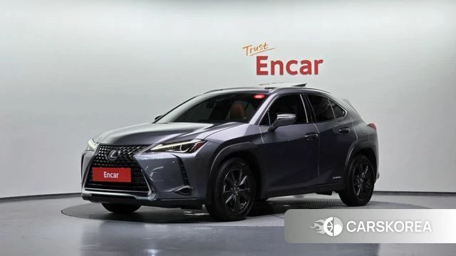 Lexus UX250h 2019 Серый из Кореи