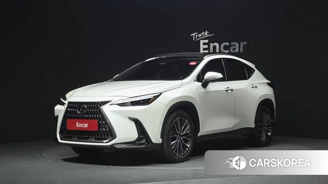 Lexus NX350h Second generation 2024 Белый из Кореи