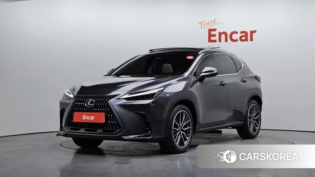 Lexus NX350h Second generation 2024 Серый из Кореи
