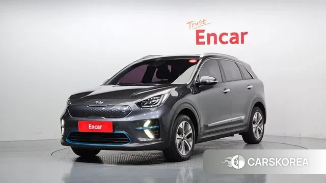 Kia Niro EV 2019 Серый из Кореи