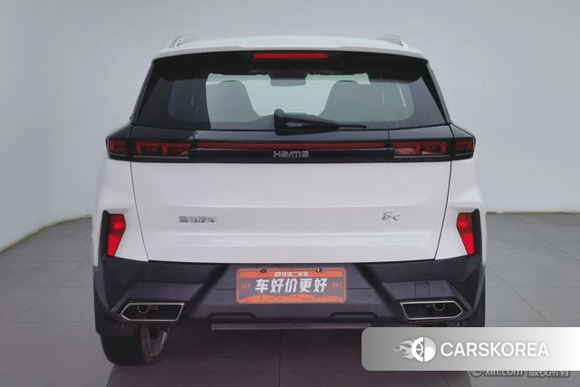 Seahorse 8S 2020 Белый из Китая