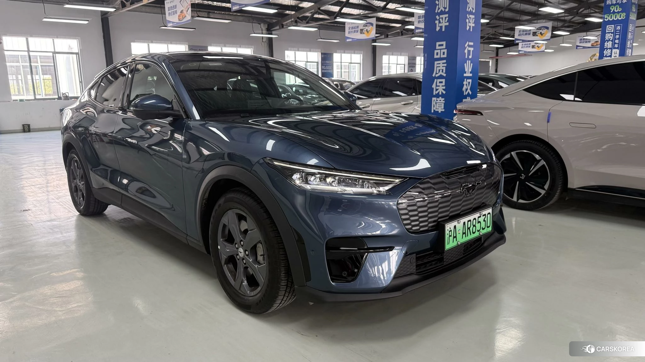 Ford Electric horse 2021 Синий из Китая