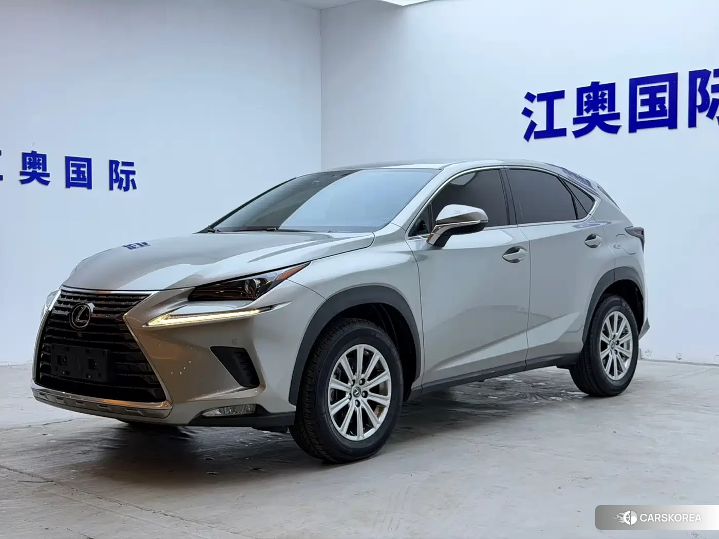 Lexus NX 2021 Silver/gray из Китая