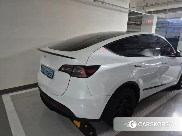 Tesla Model Y 2021 Белый из Кореи