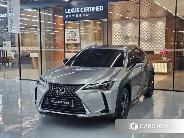 Lexus UX300h 2024 Песочный из Кореи