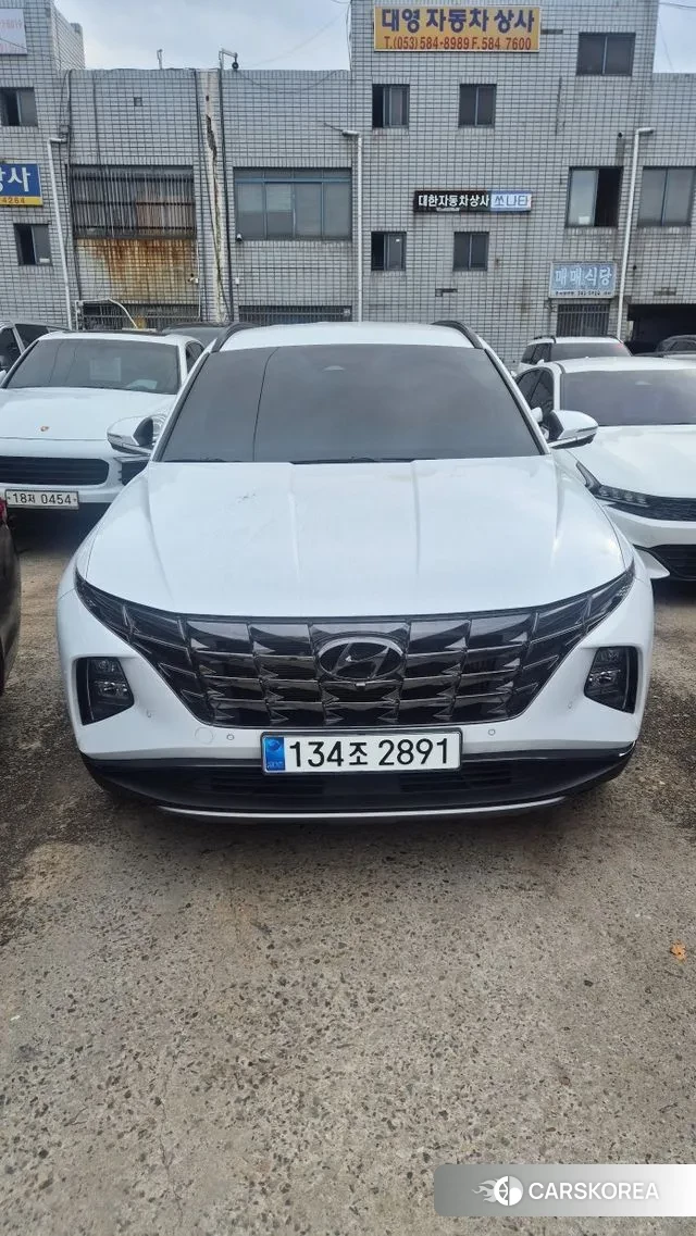 Hyundai Tucson Hybrid (NX4) 2023 Белый из Кореи