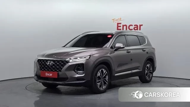 Hyundai Santa Fe TM 2018 Цвет тростника из Кореи