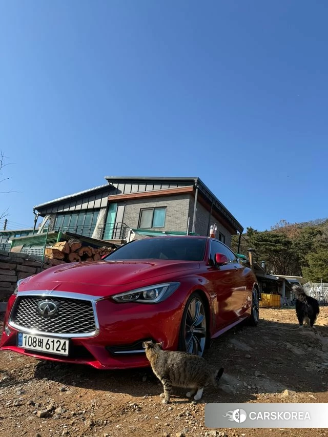 Infiniti Q60 (CV37) 2018 Красный из Кореи