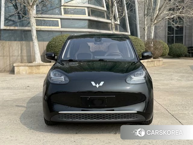 Wuling Automobile Wuling Bingguo 2023 Черный из Китая