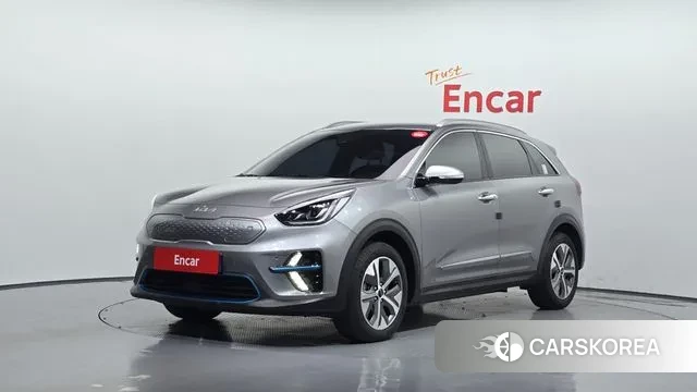 Kia Niro EV 2021 Серый из Кореи