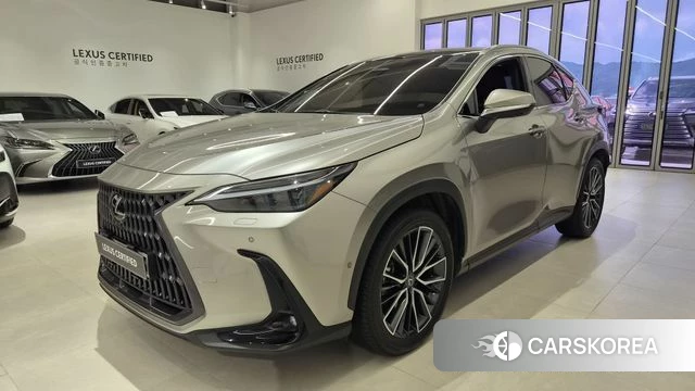Lexus NX350h Second generation 2025 Песочный из Кореи