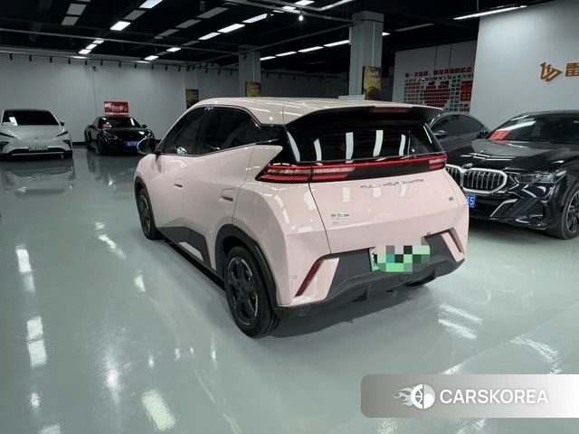 BYD Seagull 2024 Шампань из Китая