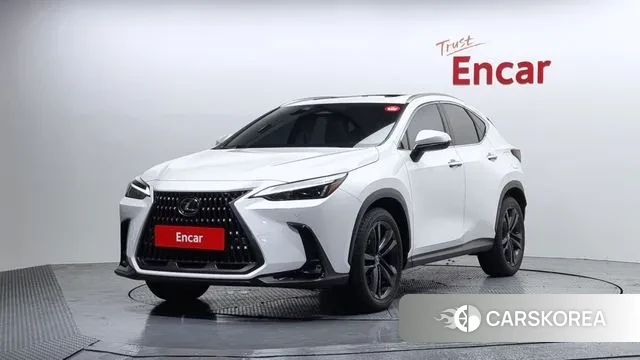 Lexus NX350h Second generation 2024 Белый из Кореи