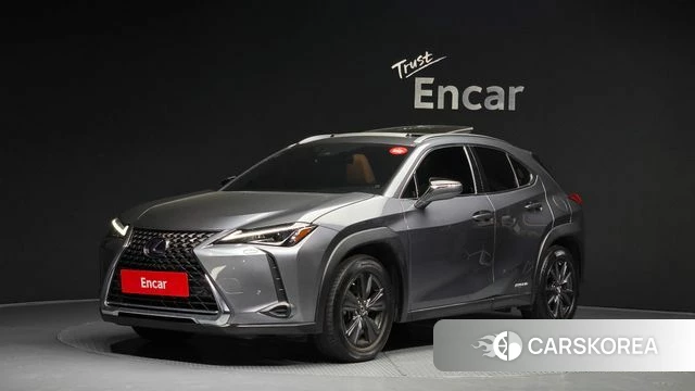 Lexus UX250h 2019 Серый из Кореи