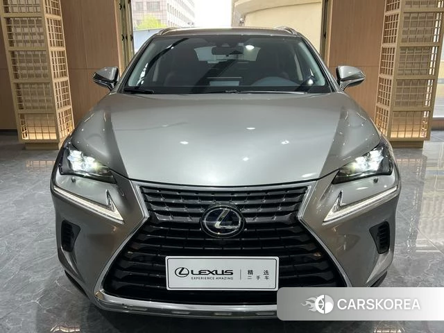 Lexus NX 2019 Серебристо-серый из Китая