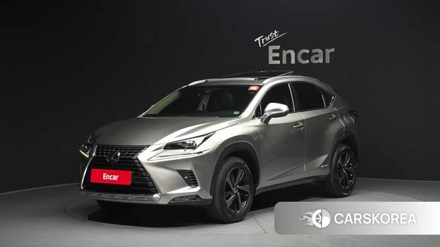 Lexus NX300h 2019 Песочный из Кореи