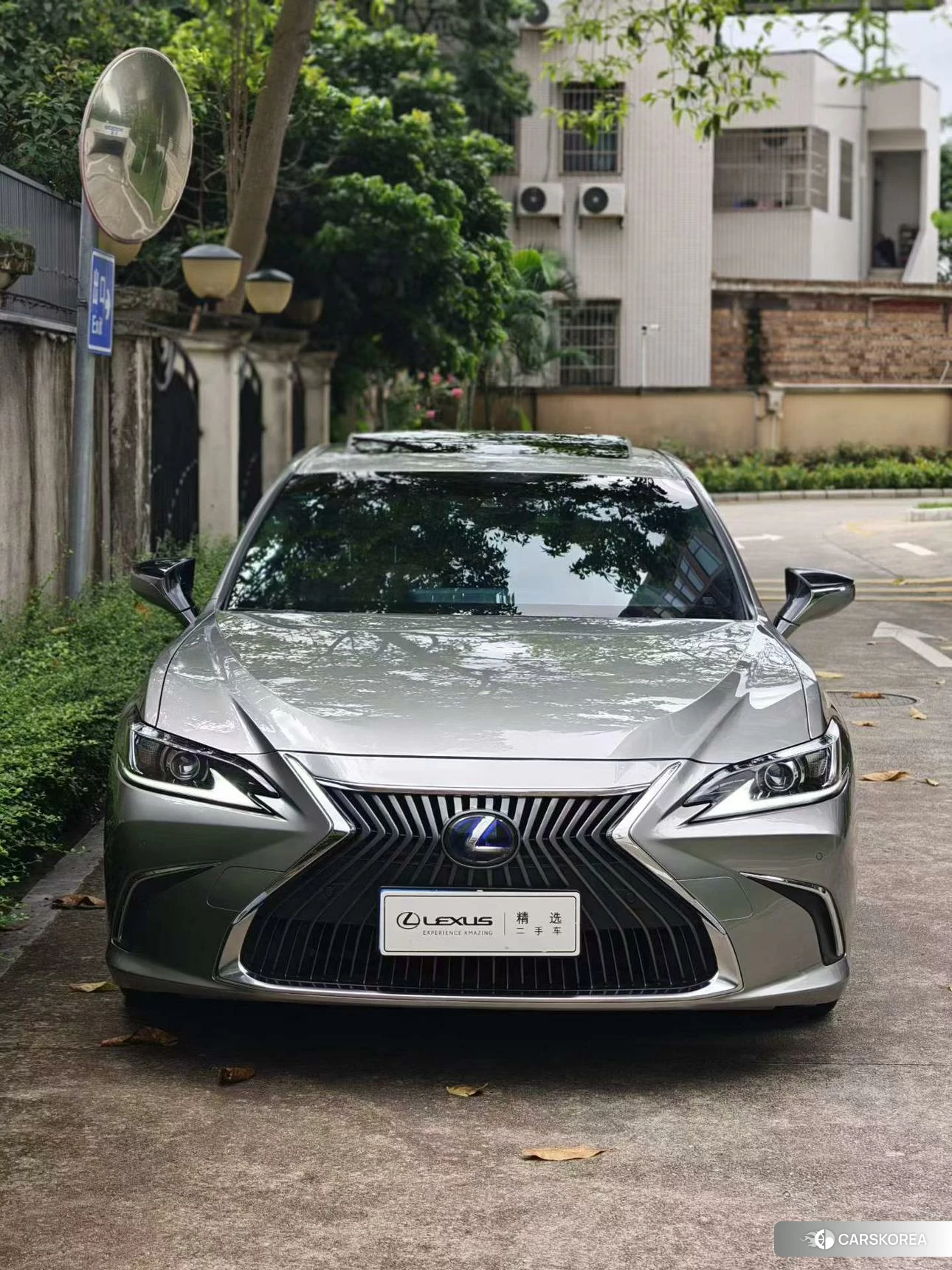 Lexus ES 2021 Серебристо-серый из Китая