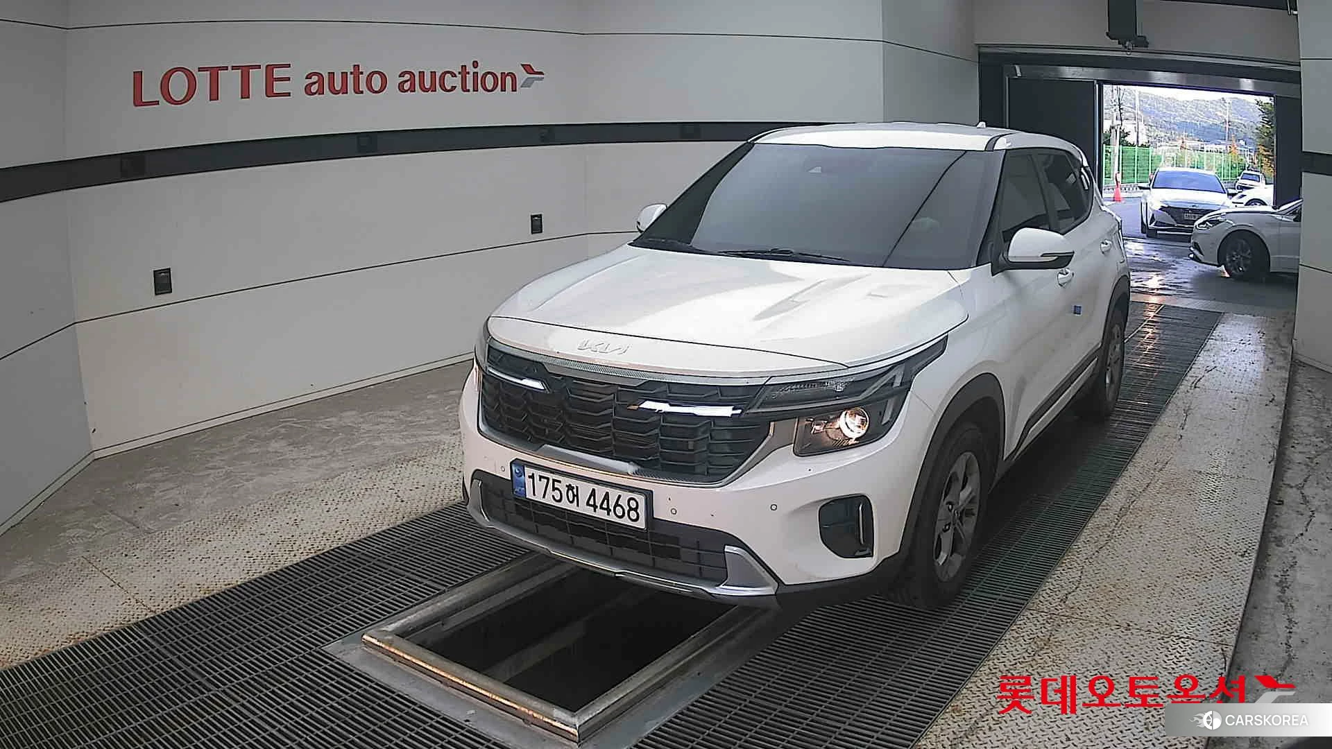 Kia Seltos 2024 Snow White Pearl из Кореи