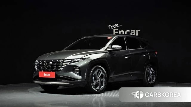 Hyundai Tucson (NX4) 2020 Цвет тростника из Кореи