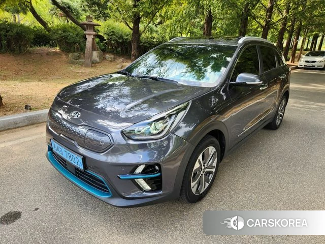 Kia Niro EV 2020 Серый из Кореи