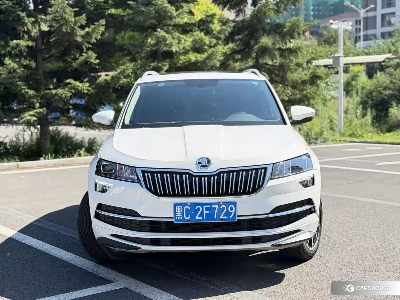 Skoda Karoq 2022 Белый из Китая