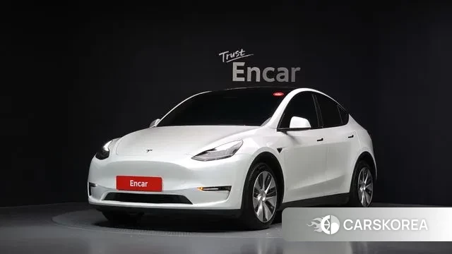 Tesla Model Y 2021 Белый из Кореи