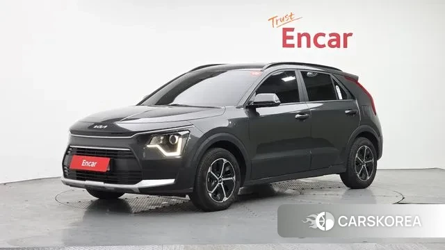 Kia Di Ol Nu Niro 2024 Серый из Кореи