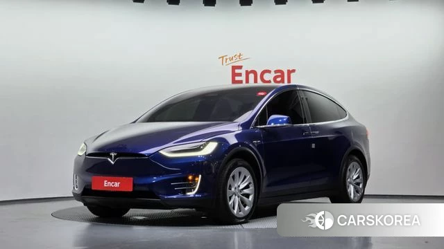 Tesla Model X 2019 Синий из Кореи
