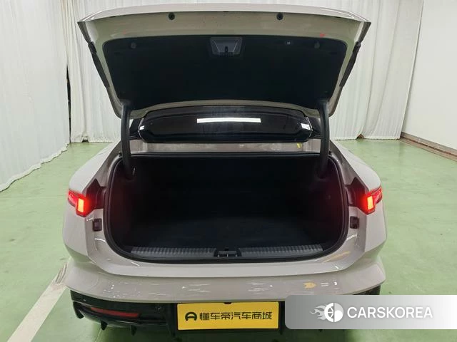Lynk 10 EM-P 2026 Другой из Китая