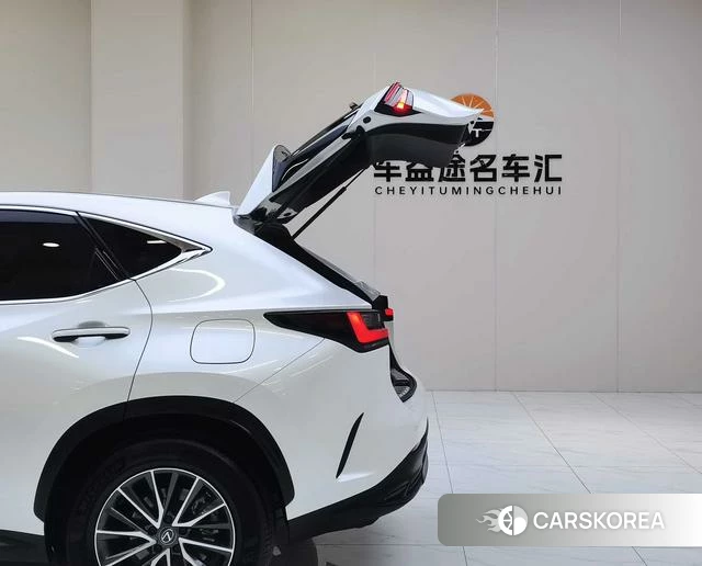Lexus NX 2023 Белый из Китая