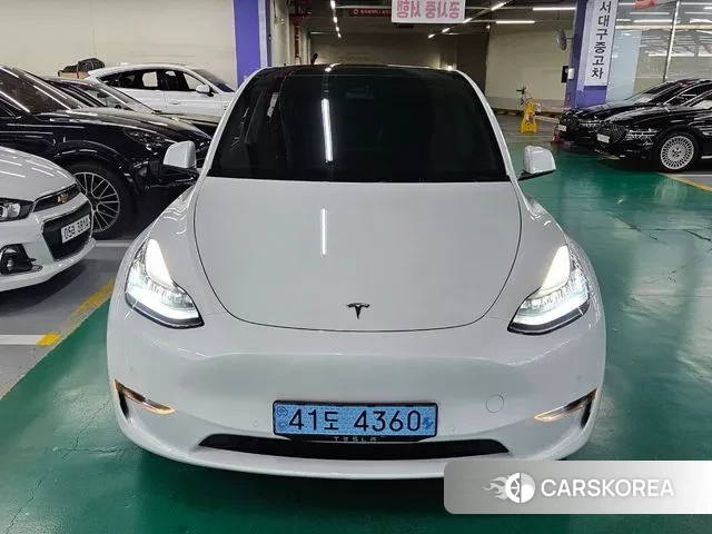 Tesla Model Y 2021 Белый из Кореи