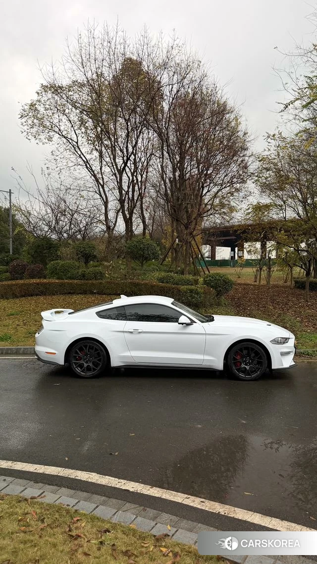 Ford Mustang 2022 Белый из Китая