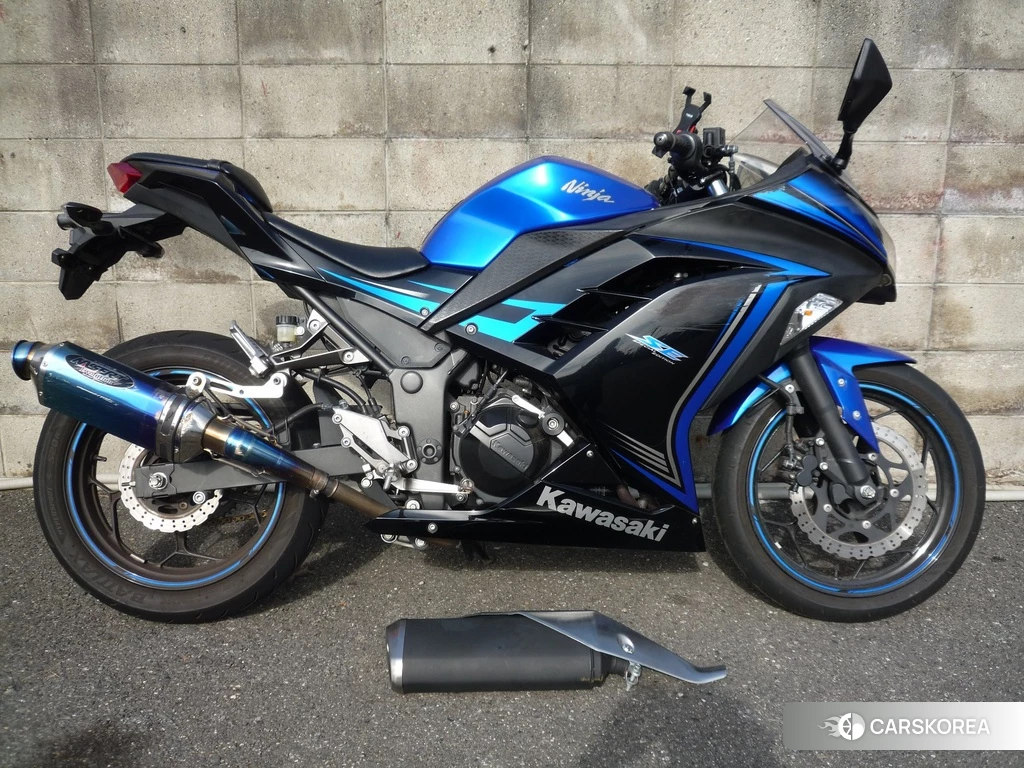 Проданный OTHER Ninja 250 SE 2015 из Японии
