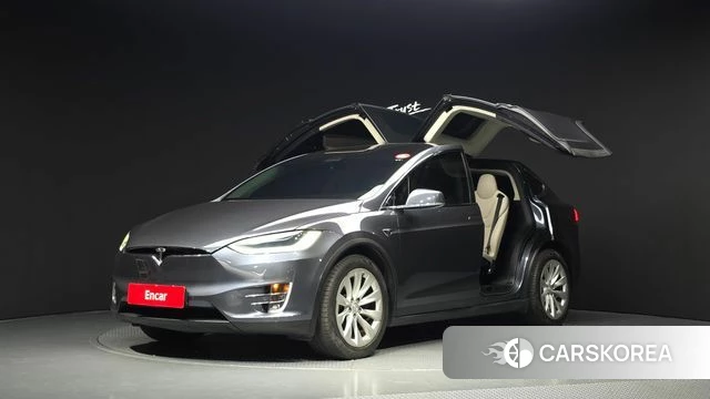 Tesla Model X 2019 Серый из Кореи