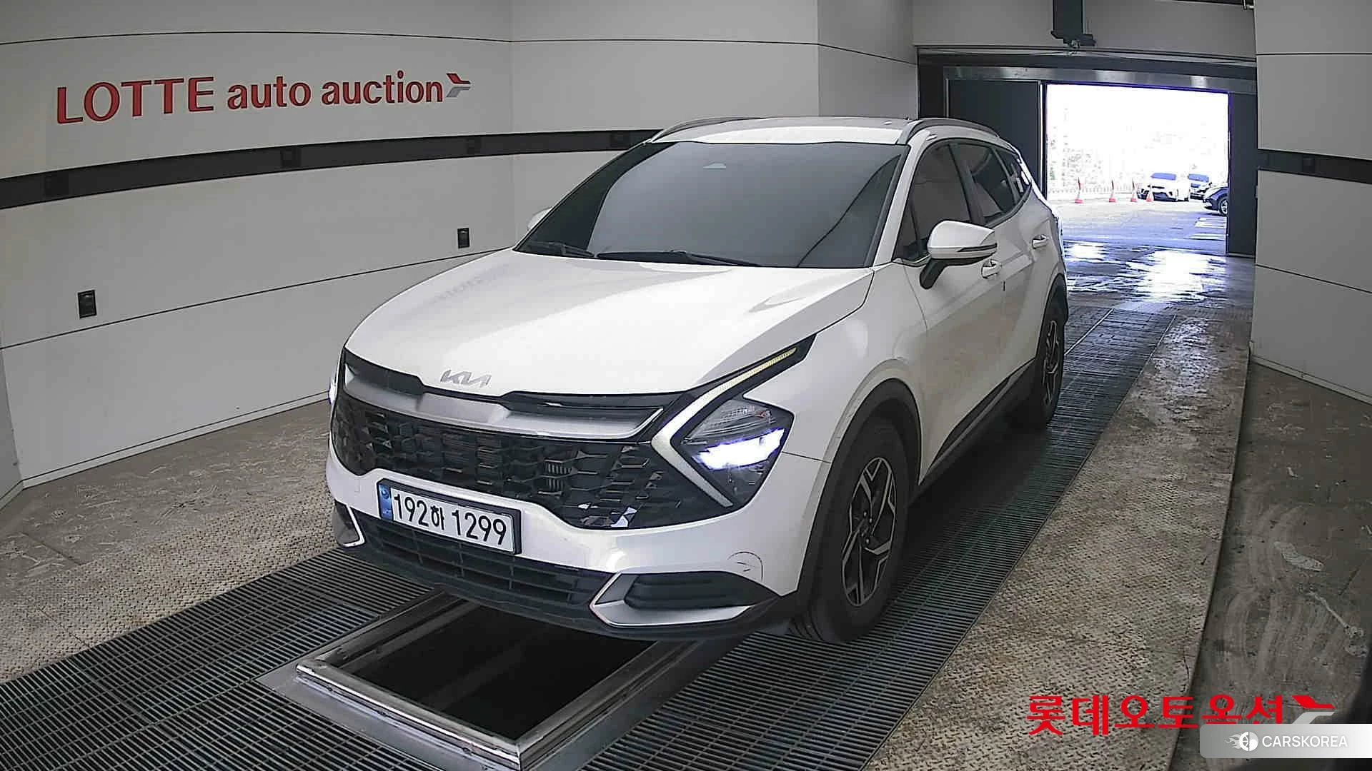 Kia Sportage 2022 Snow White Pearl (optional) из Кореи