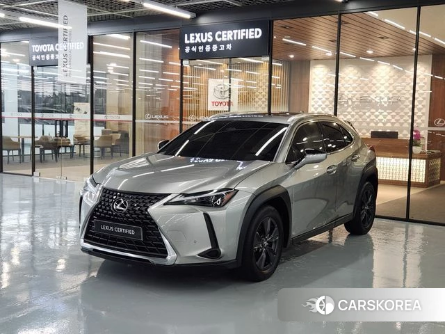 Lexus UX300h 2024 Песочный из Кореи
