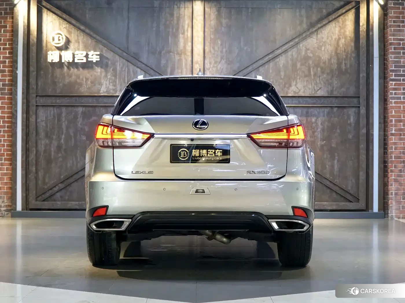 Lexus RX 2022 Silver/gray из Китая