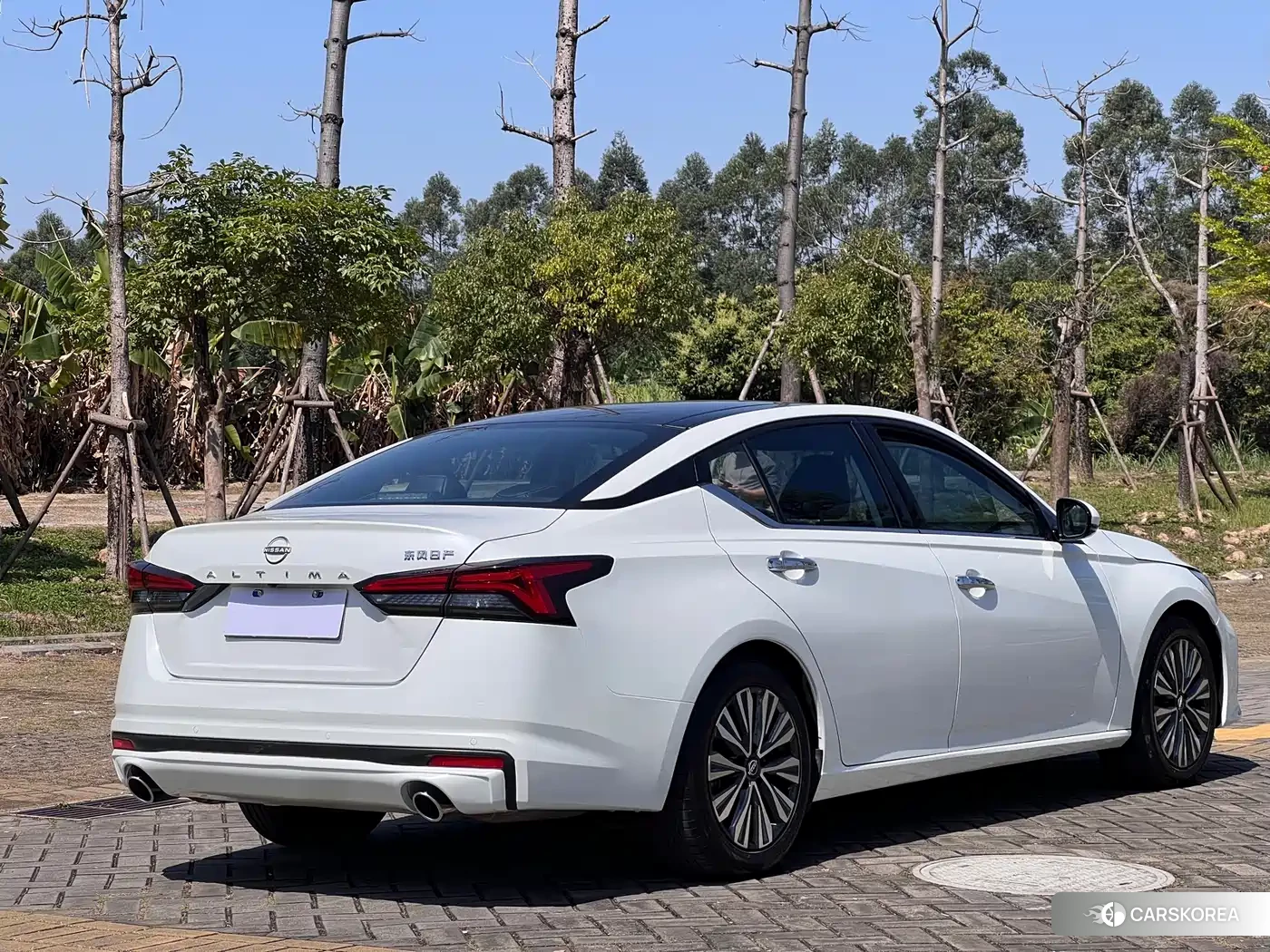 Nissan Altima 2023 Белый из Китая