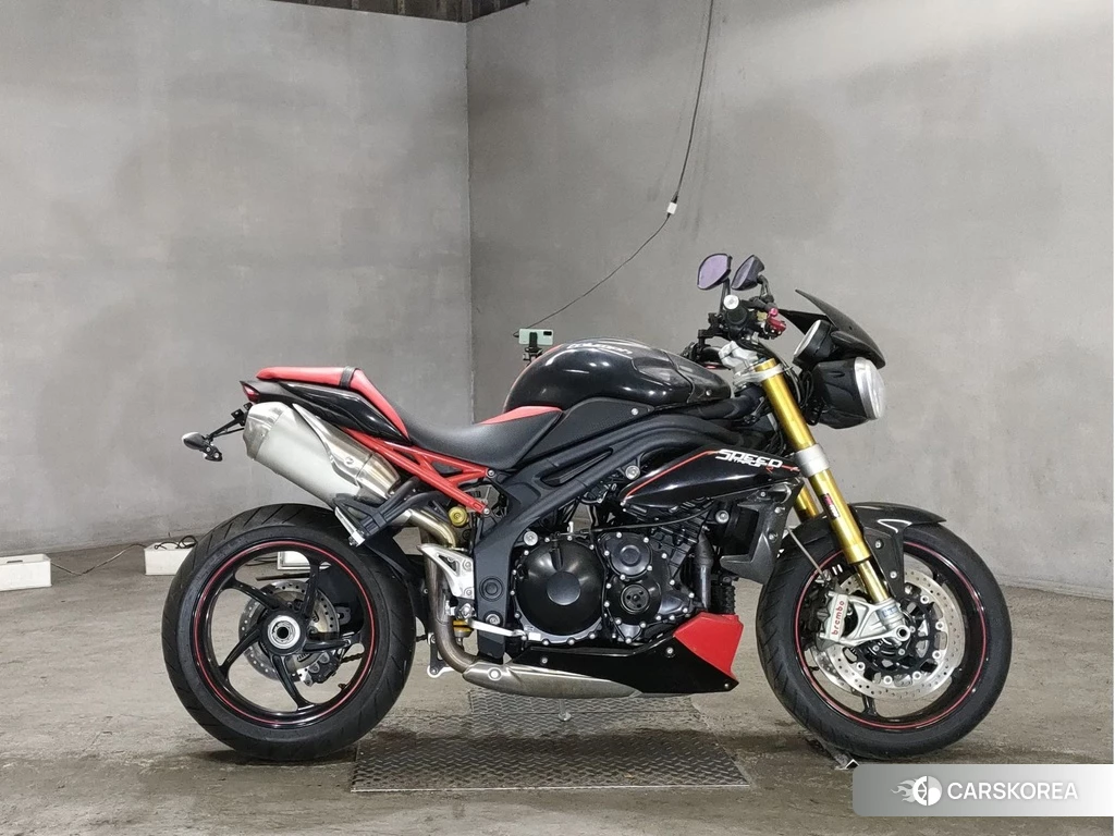 Проданный Triumph SPEED TRIPLE R 2013 из Японии