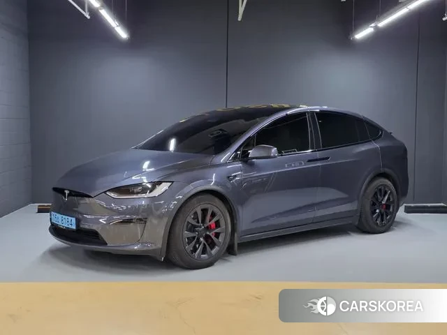 Tesla Model X 2023 Серый из Кореи