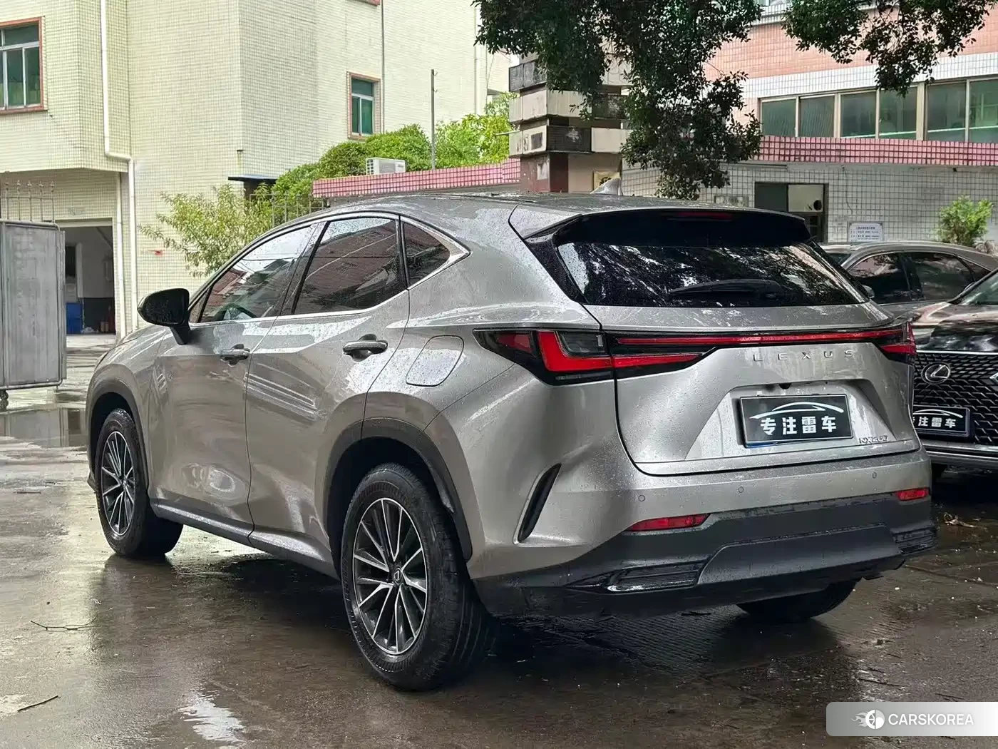 Lexus NX 2025 Silver/gray из Китая