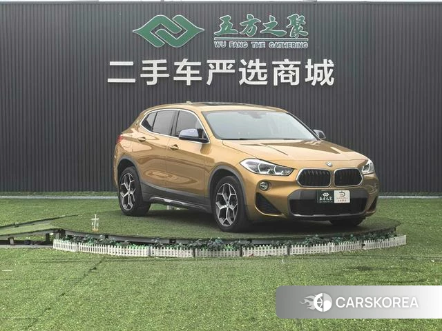 BMW X2 (import) 2019 Желтый из Китая