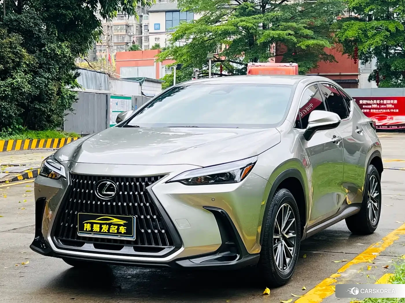 Lexus NX 2024 Silver/gray из Китая
