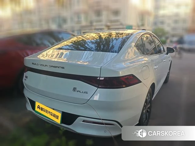 BYD Qin PLUS DM 2023 Белый из Китая