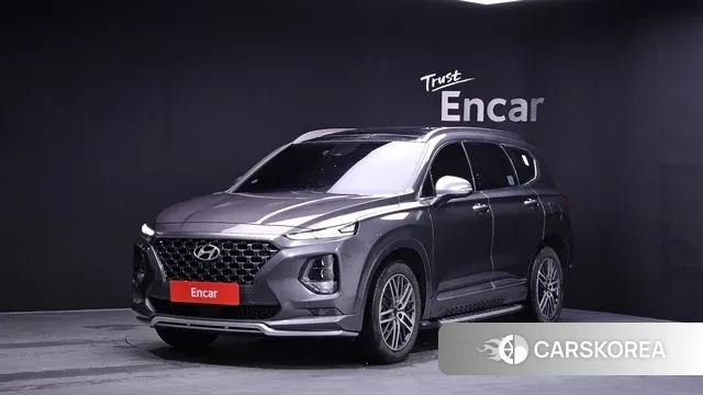 Hyundai Santa Fe TM 2019 Серый из Кореи
