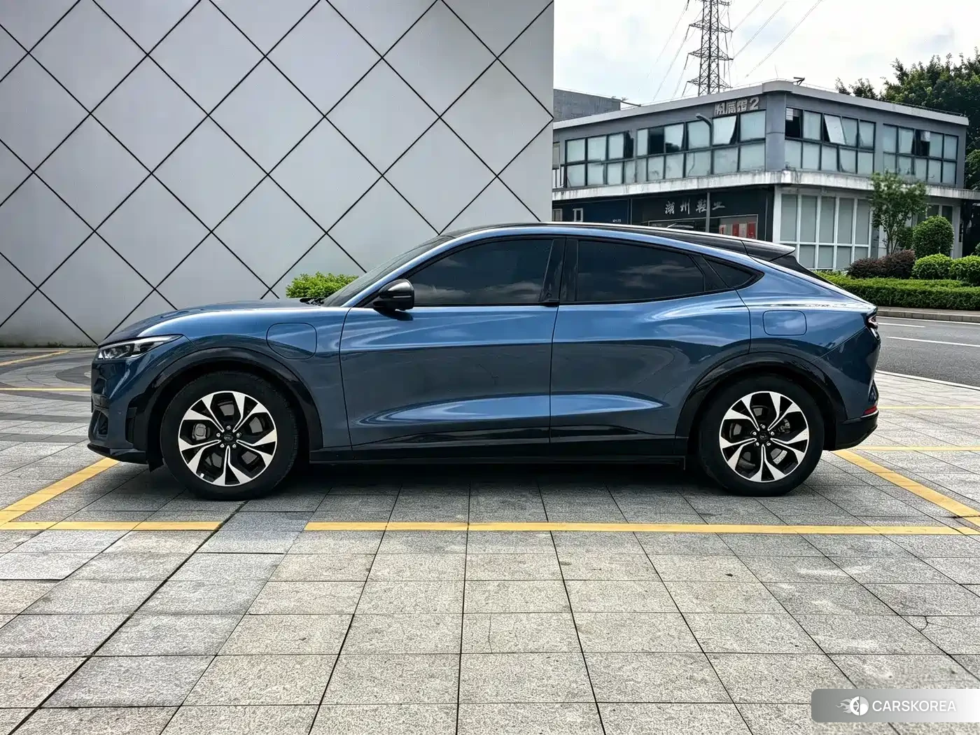 Ford Electric horse 2022 Синий из Китая