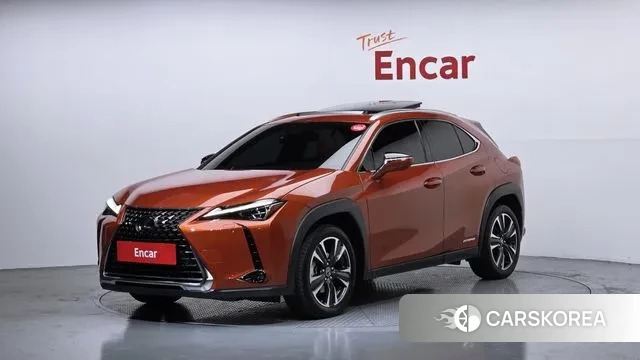 Lexus UX250h 2019 Оранжевый из Кореи
