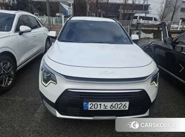 Kia Di Ol Nu Niro 2022 Белый из Кореи